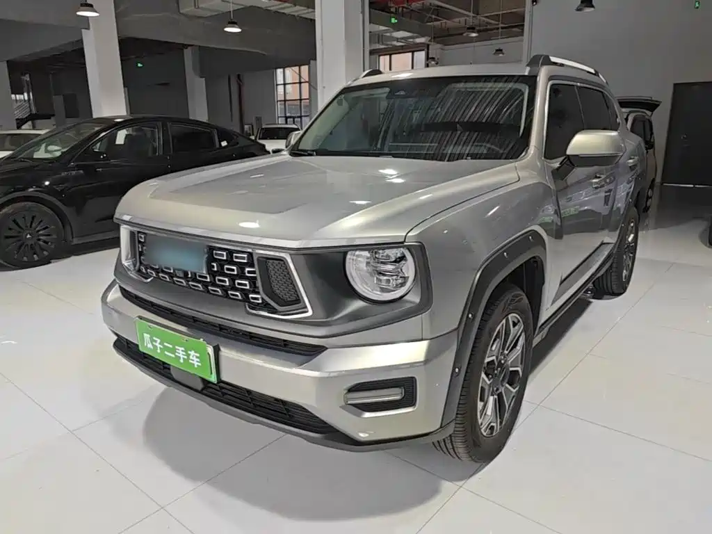 Haval Big Dog PLUS New Energy — миниатюра 2