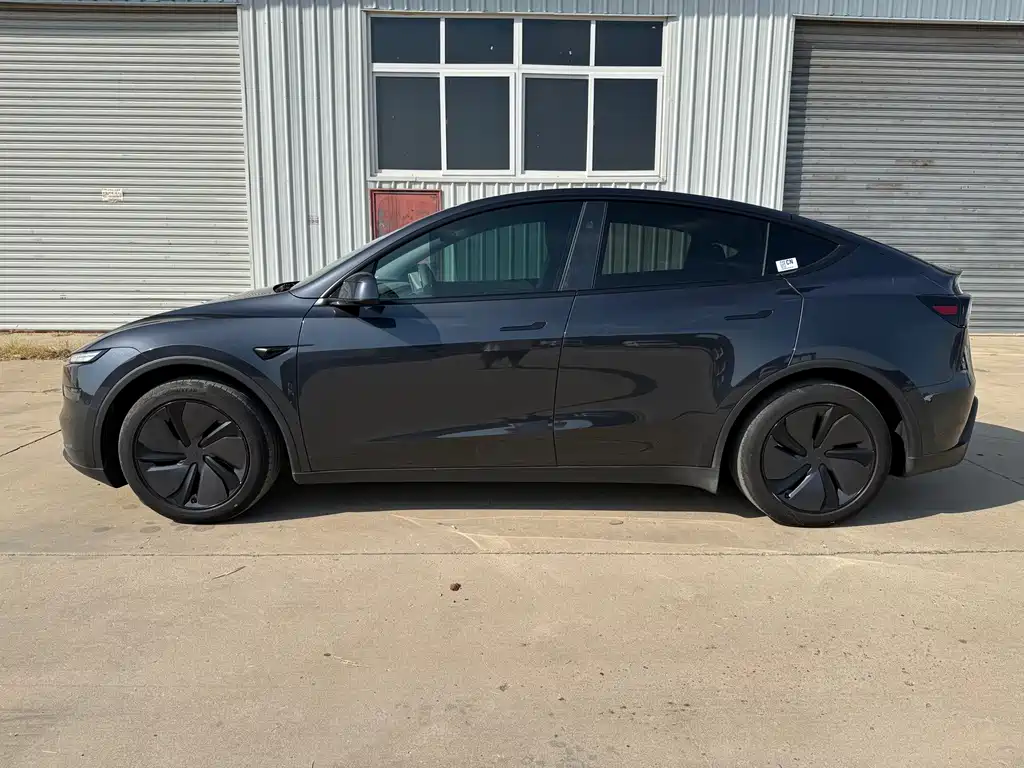 Tesla Model Y — миниатюра 7