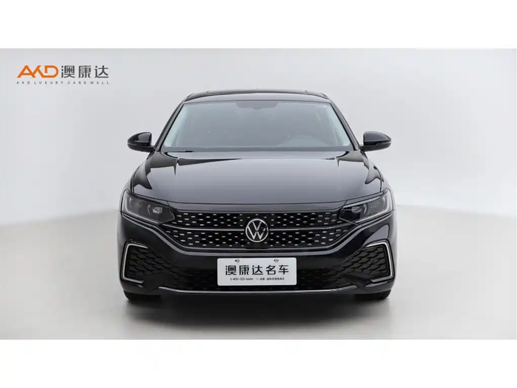 Volkswagen Passat — миниатюра 2