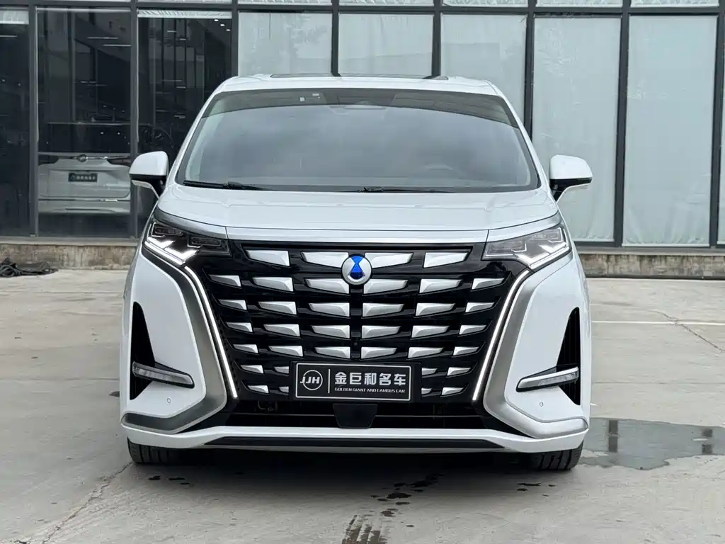 Denza Denza D9 — миниатюра 2