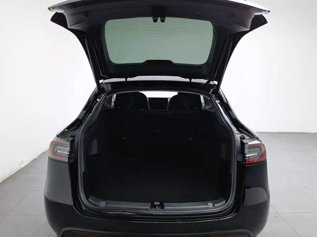 Tesla Model Y — миниатюра 16
