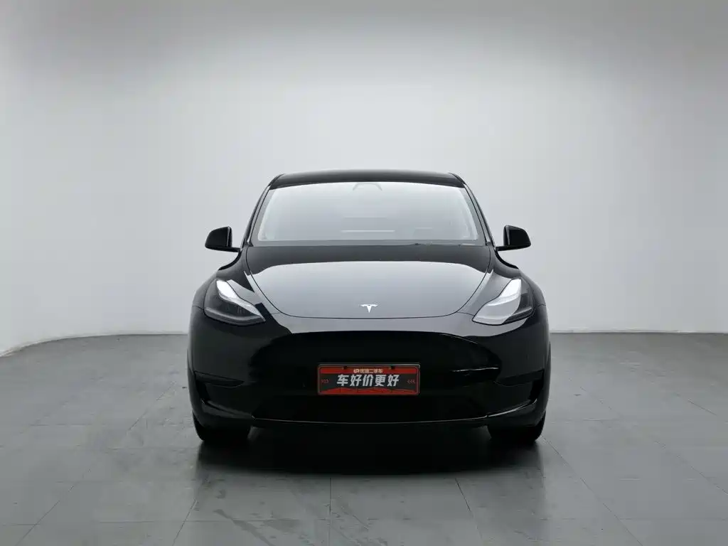 Tesla Model Y — миниатюра 3