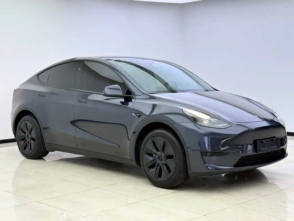 Tesla Model Y — миниатюра 3