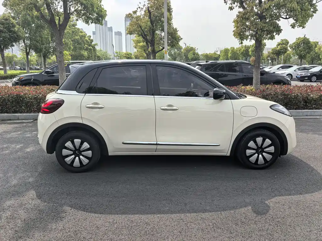 Wuling Binguo 2025 333km Enjoy