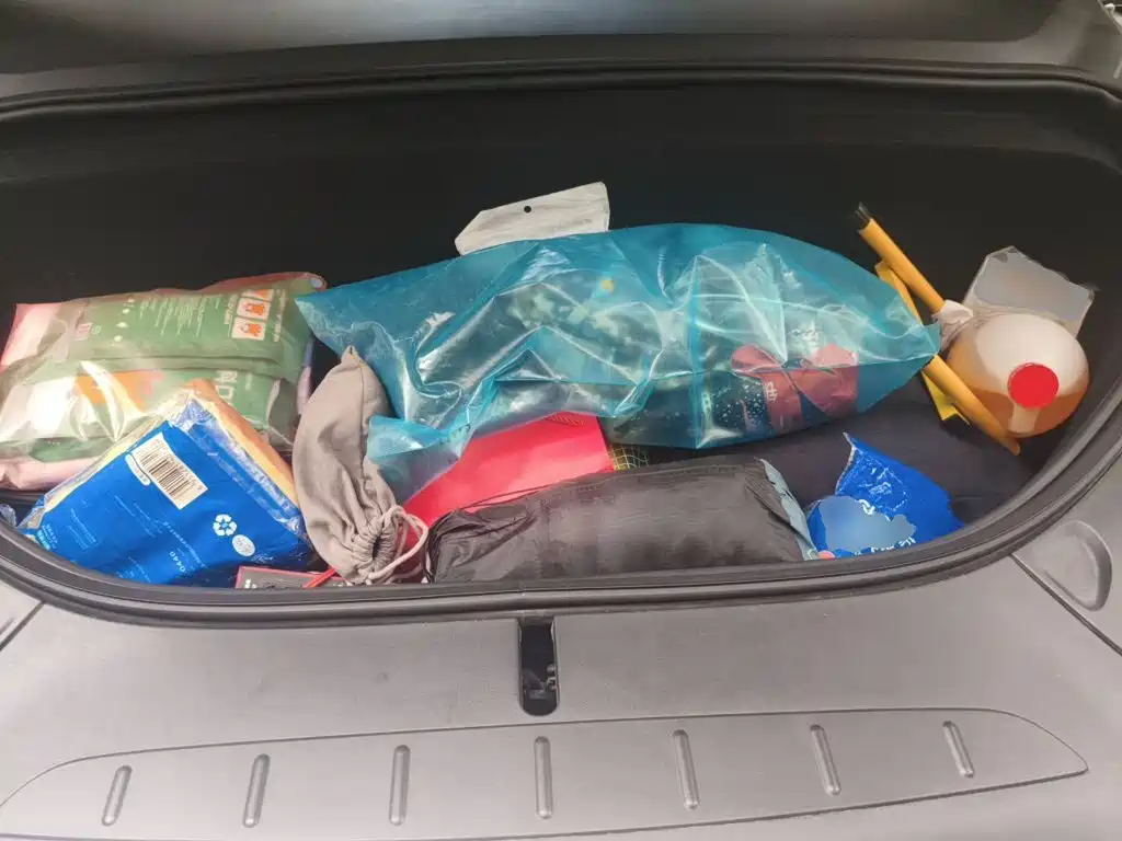Tesla Model X — миниатюра 11