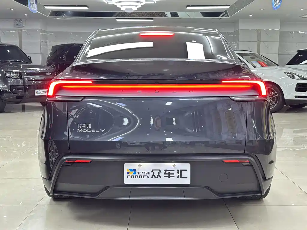 Tesla Model Y — миниатюра 5