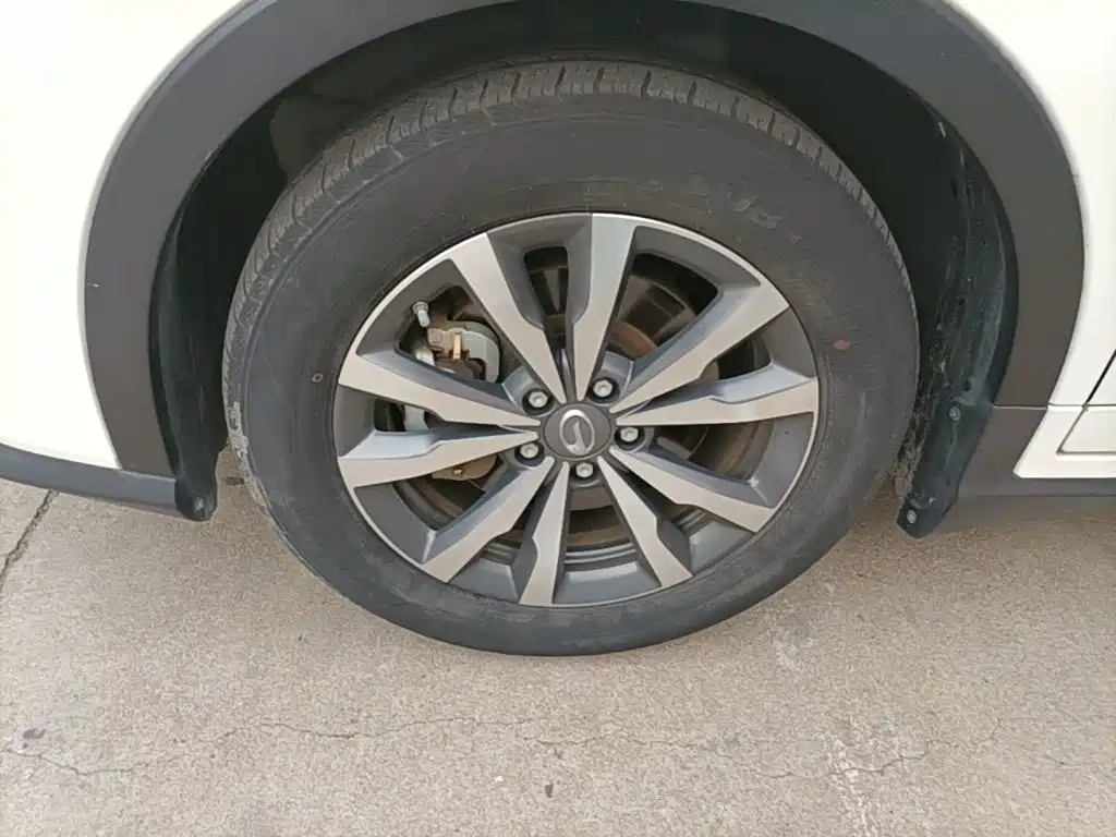 Aion Trumpchi GE3 — миниатюра 23