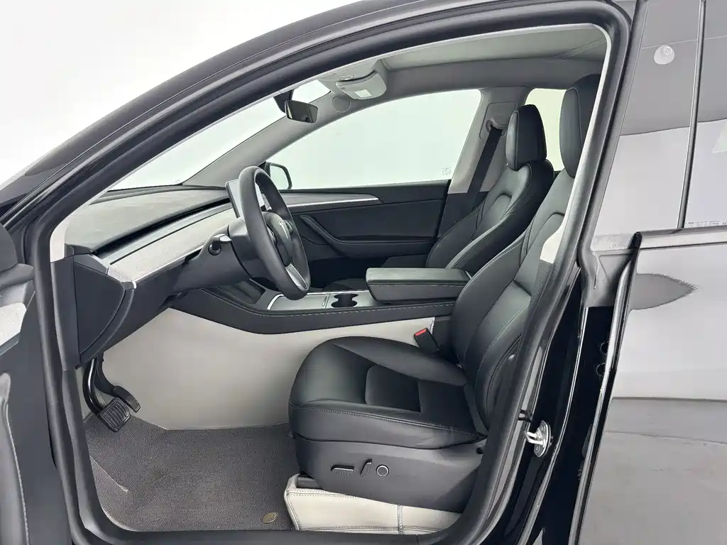Tesla Model Y — миниатюра 12