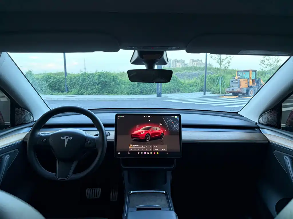 Tesla Model Y — миниатюра 6