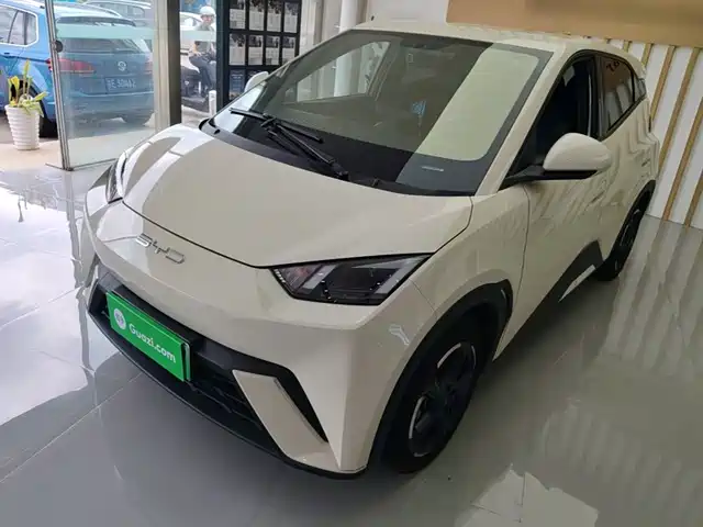 2024 BYD Seagull