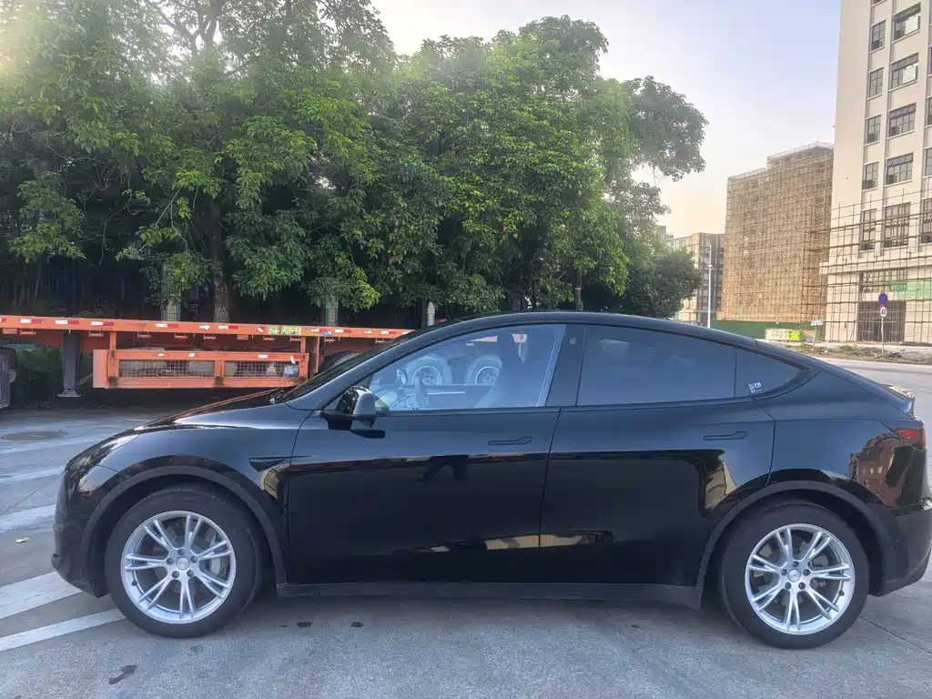 Tesla Model Y — миниатюра 8