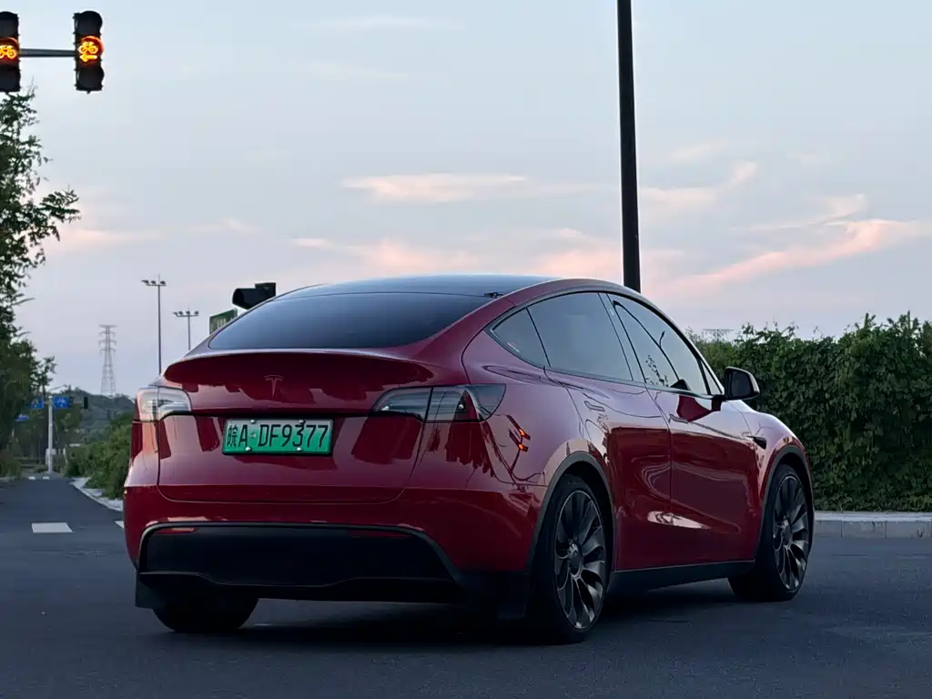 Tesla Model Y — миниатюра 5