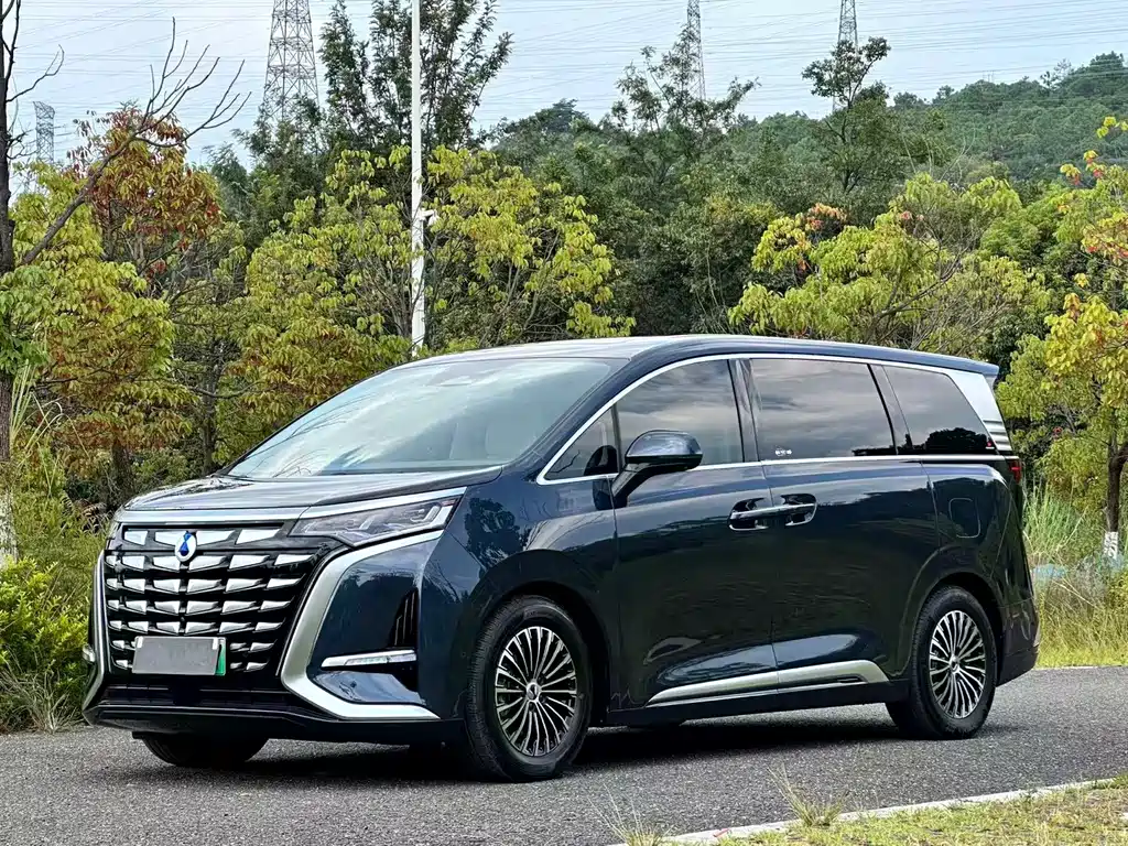 Denza Denza D9