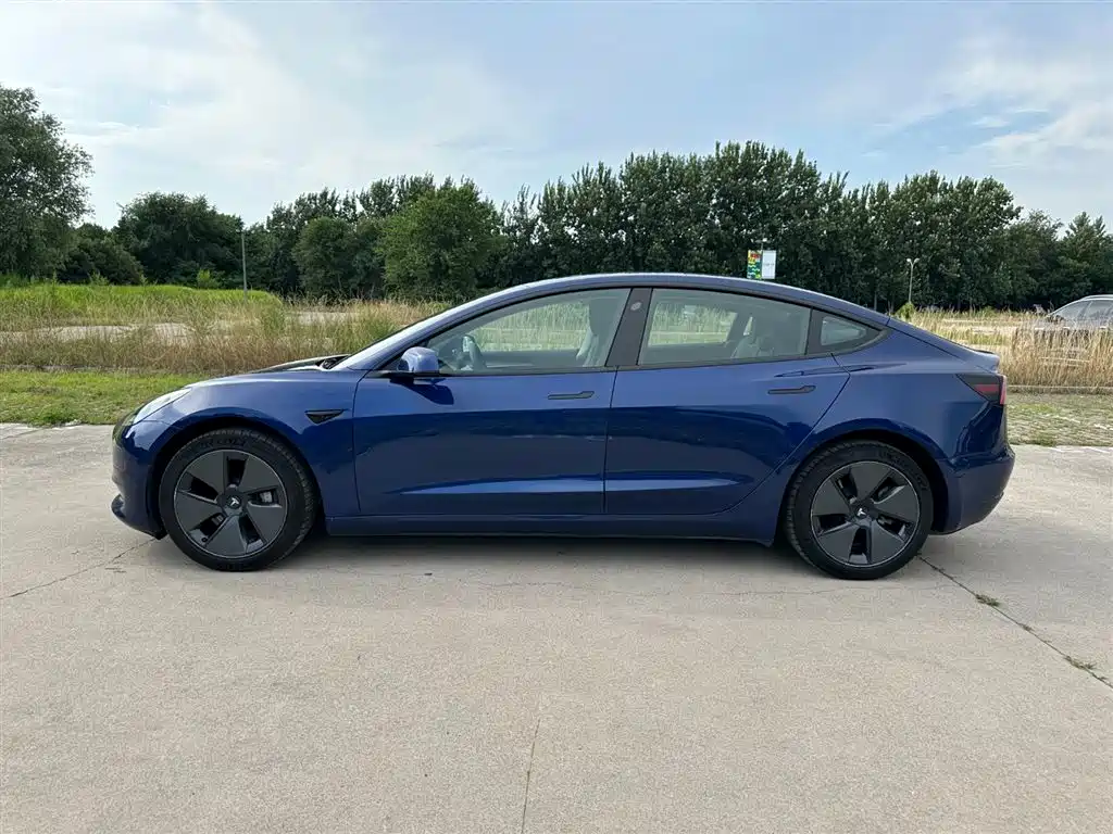 Tesla Model 3 2021 3D6