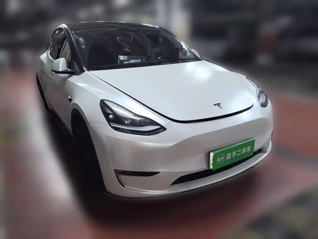 Tesla Model Y — миниатюра 25