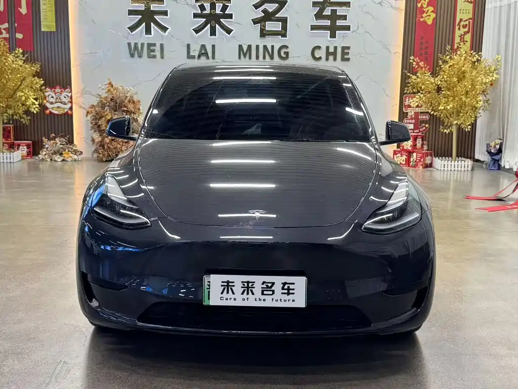Tesla Model Y — миниатюра 2