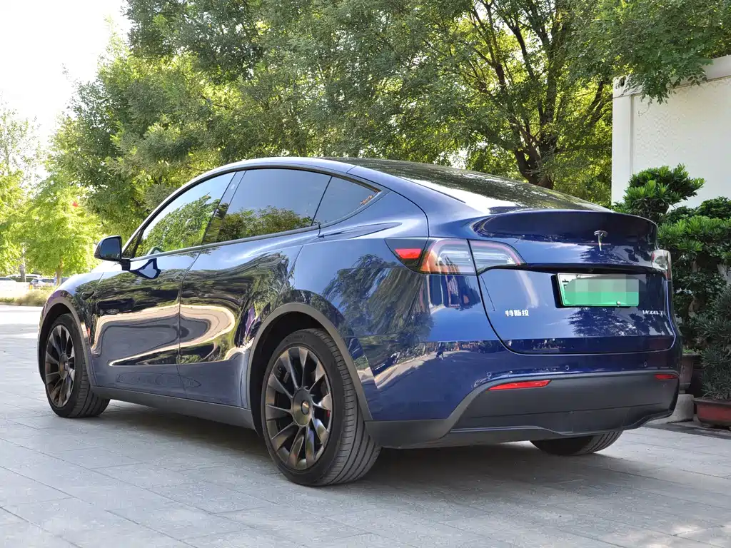 Tesla Model Y — миниатюра 4