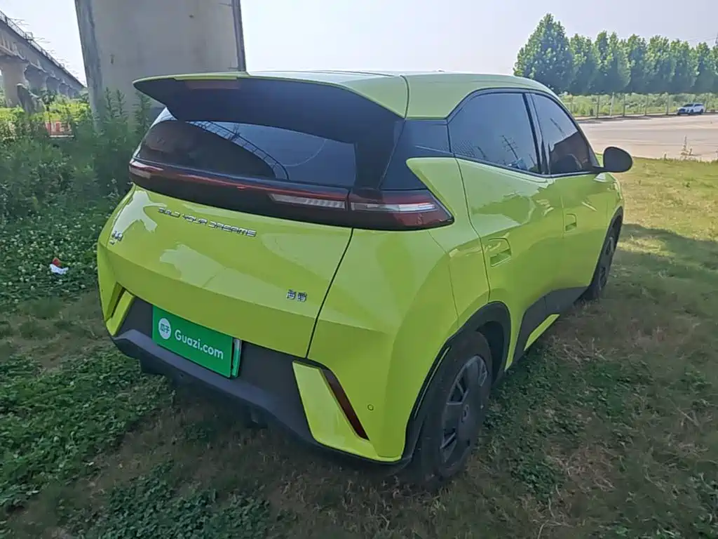 BYD Seagull