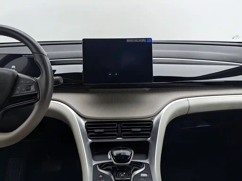 BYD Pro New Energy — миниатюра 12