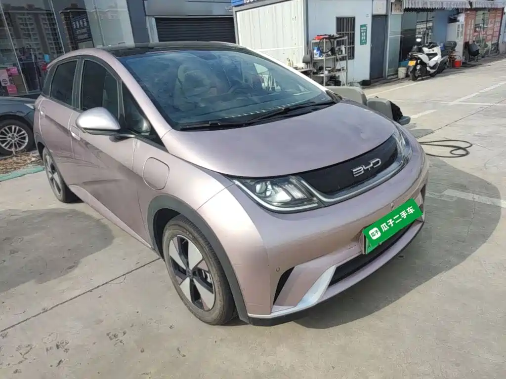 BYD Dolphin — миниатюра 4