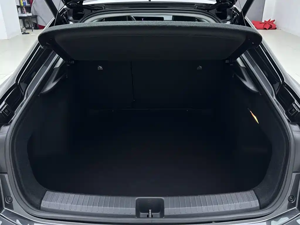 Volkswagen Lamando — миниатюра 19