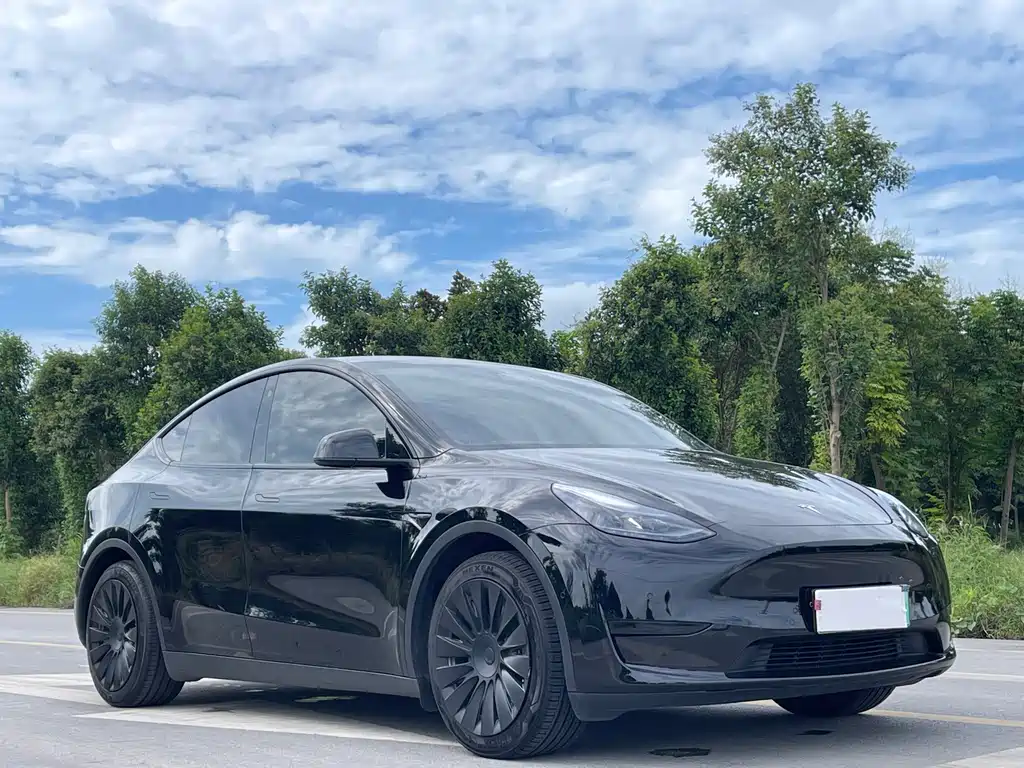 Tesla Model Y — миниатюра 3