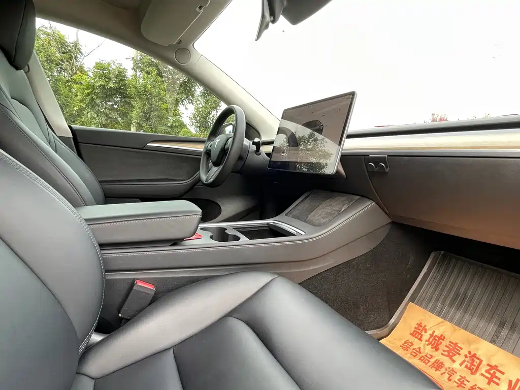 Tesla Model Y — миниатюра 10