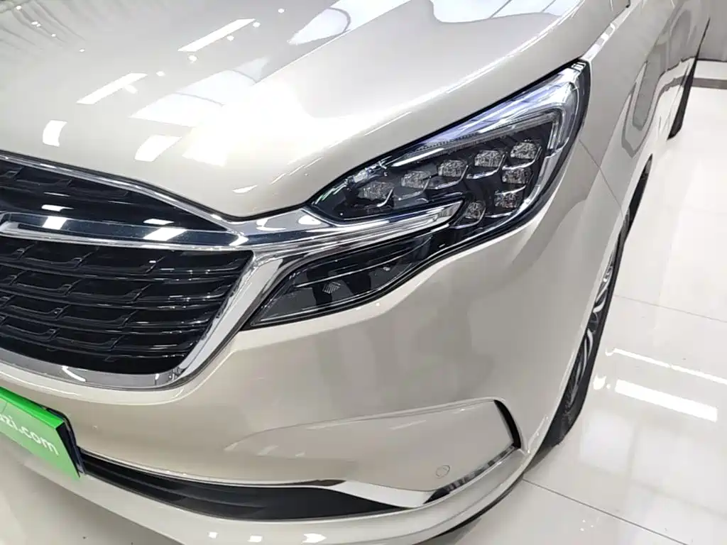 Buick GL8 — миниатюра 24