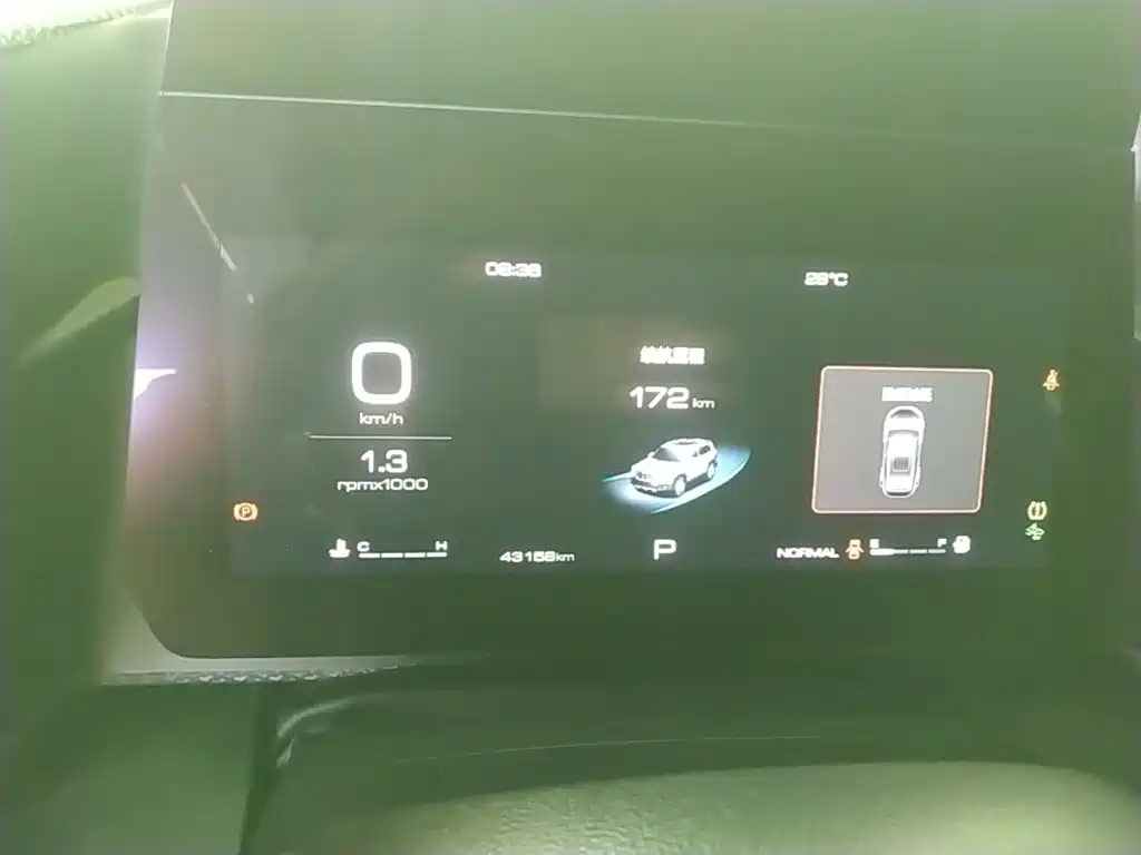 Haval Big Dog — миниатюра 12
