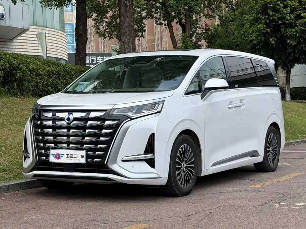 Denza Denza D9