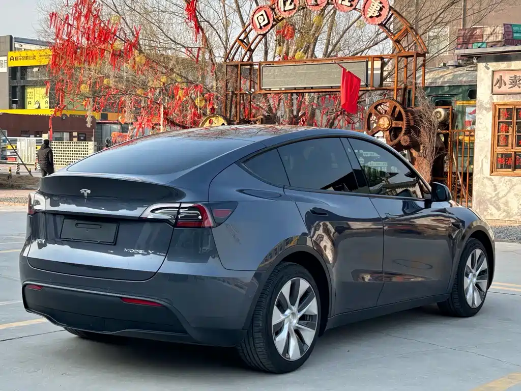 Tesla Model Y — миниатюра 16