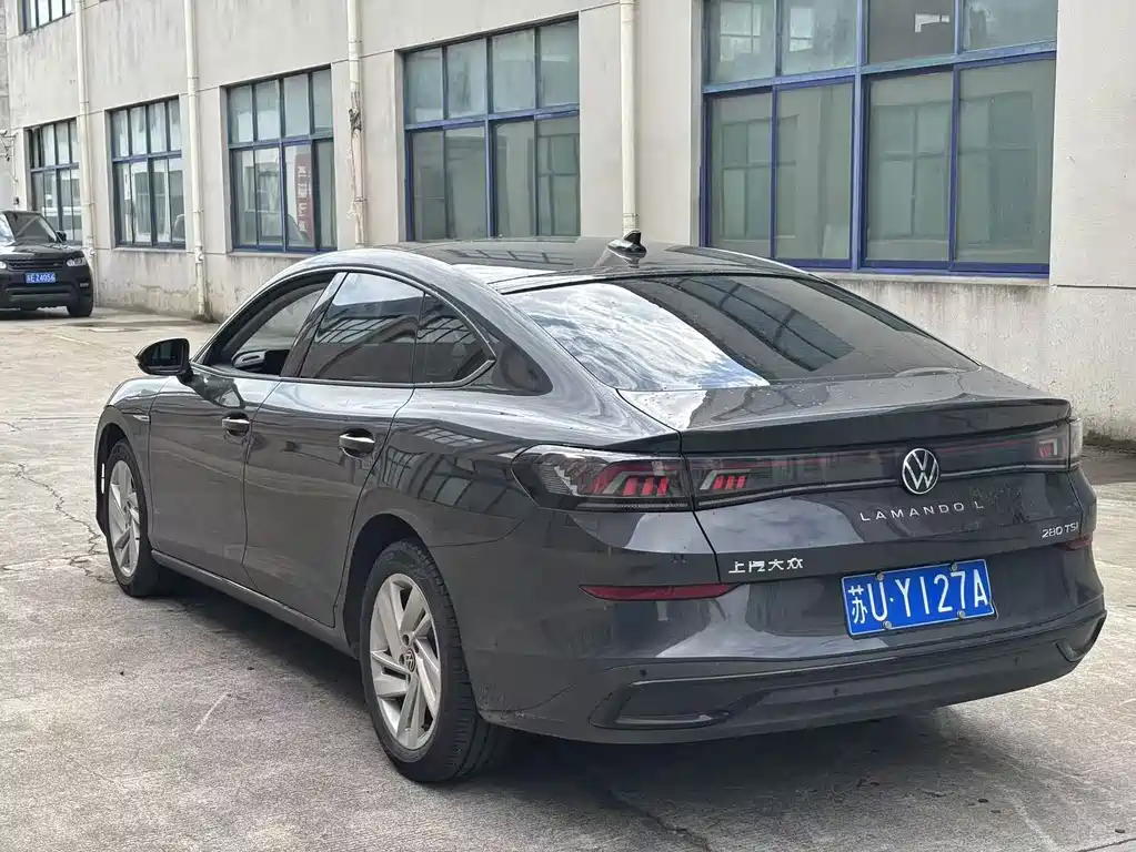 Volkswagen Lamando — миниатюра 8