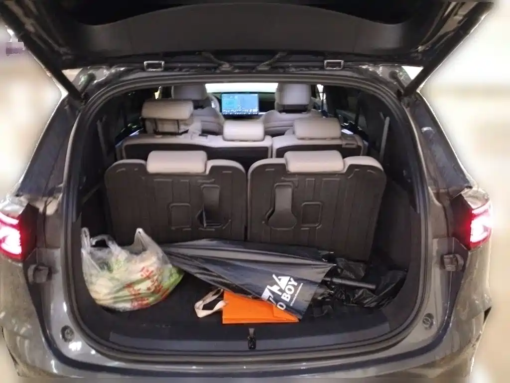 BYD Tang New Energy — миниатюра 10