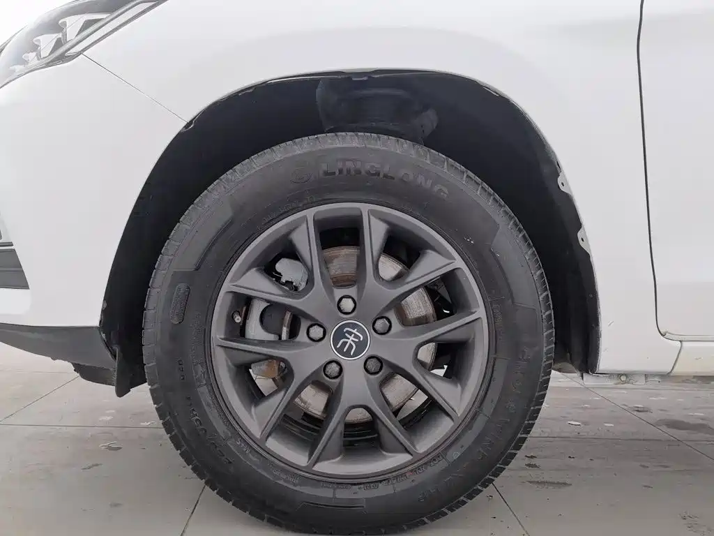 BYD Song — миниатюра 17