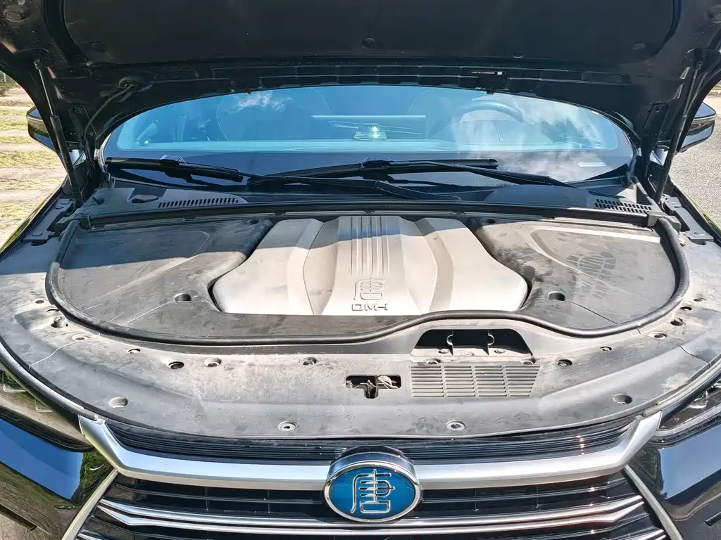 BYD Tang New Energy — миниатюра 12