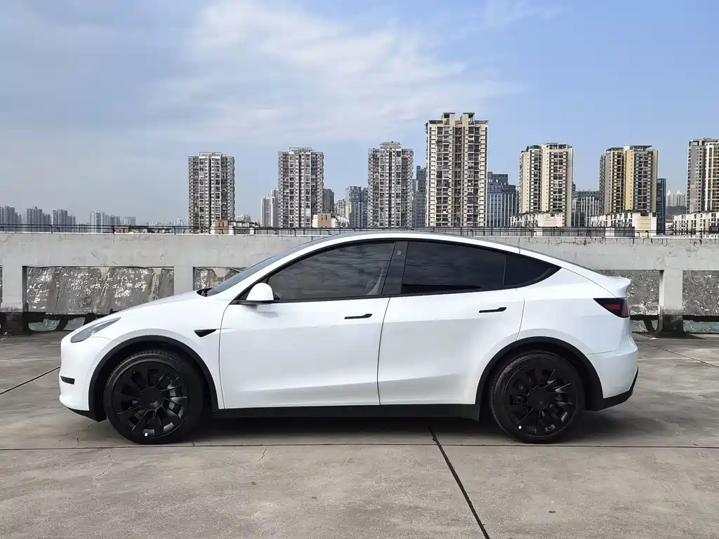 Tesla Model Y — миниатюра 8