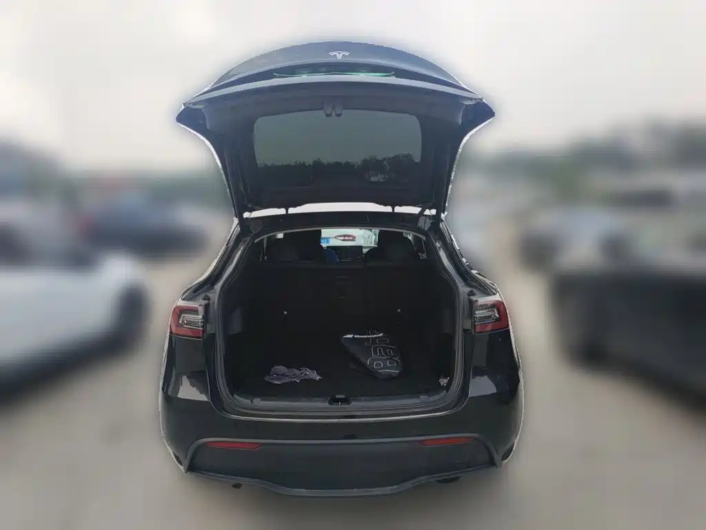 Tesla Model Y — миниатюра 20