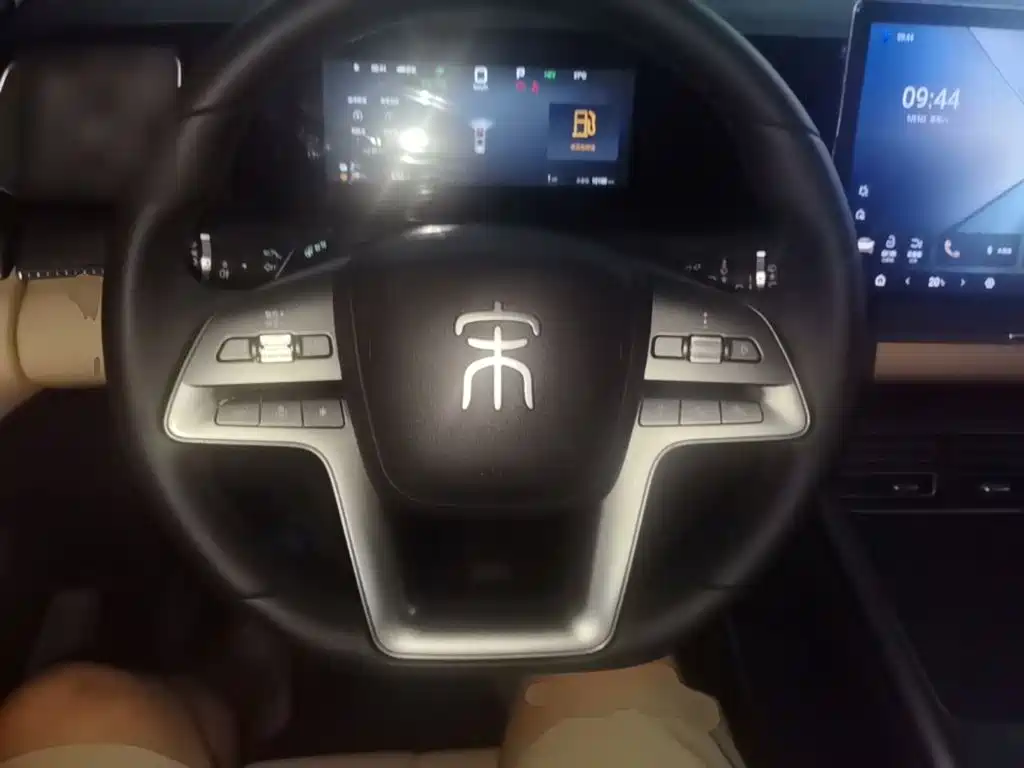 BYD Pro New Energy — миниатюра 11