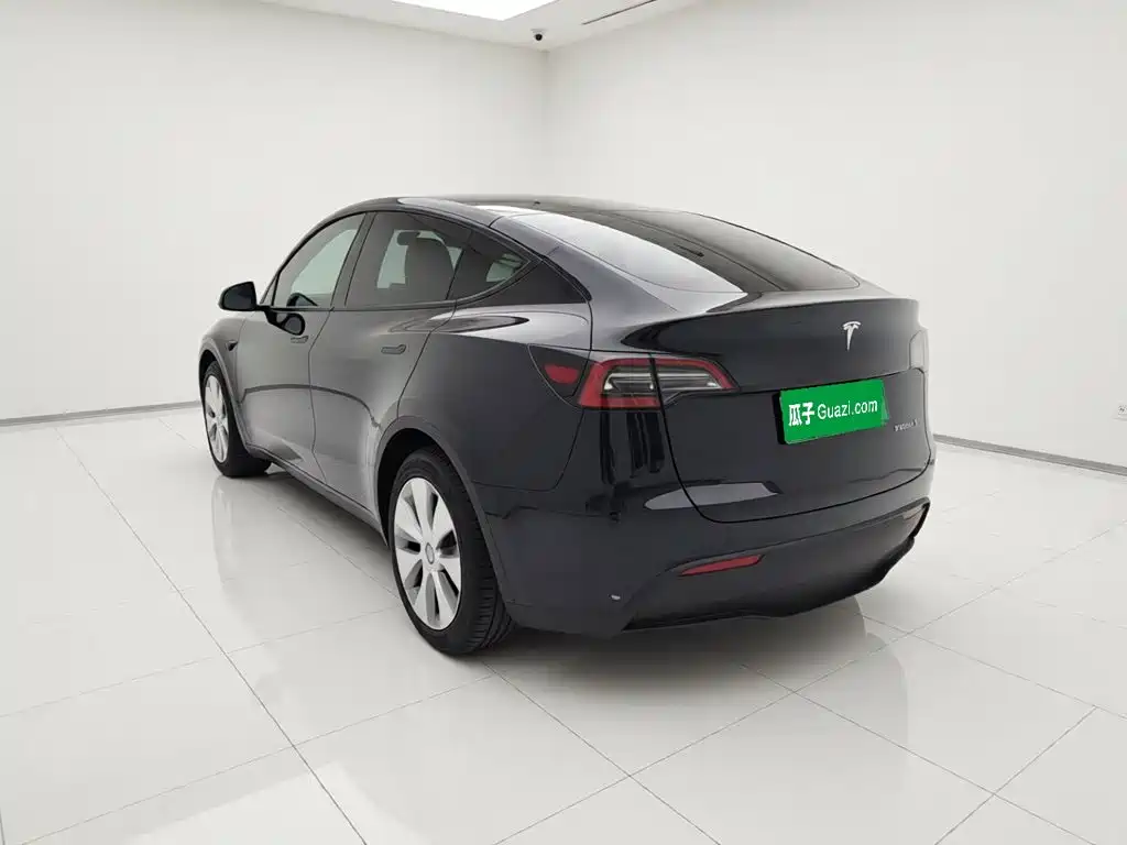 Tesla Model Y — миниатюра 4