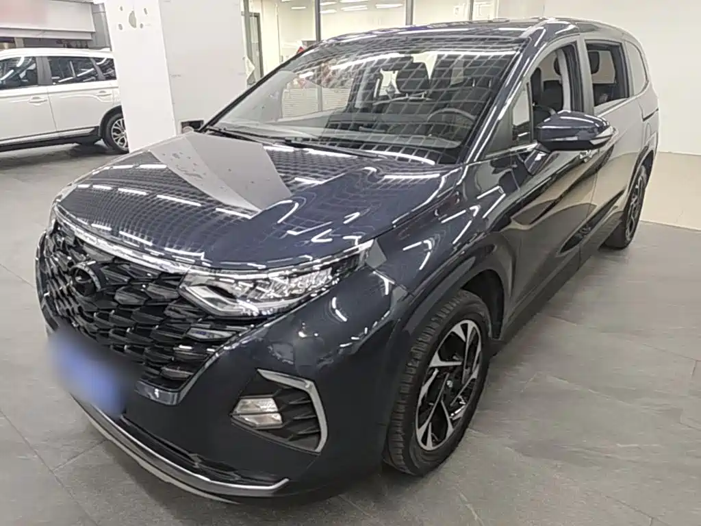Hyundai Custo — миниатюра 2