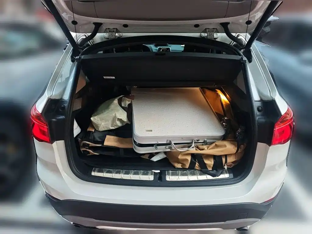 BMW X1 — миниатюра 10