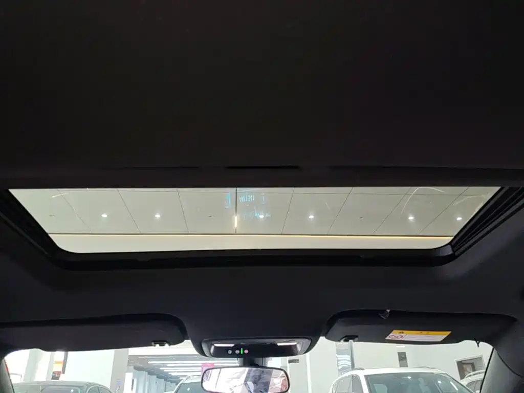 Buick Regal — миниатюра 18