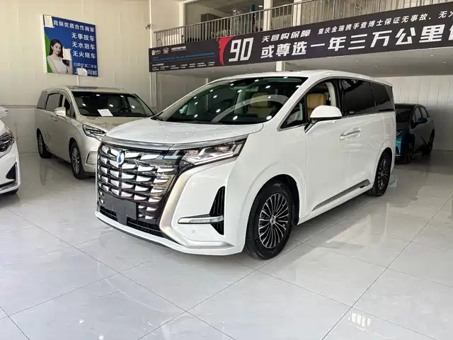 2024 Denza D9