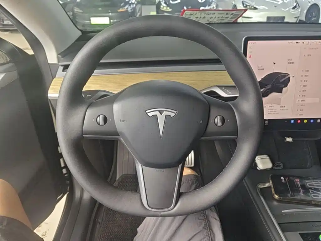 Tesla Model Y — миниатюра 11