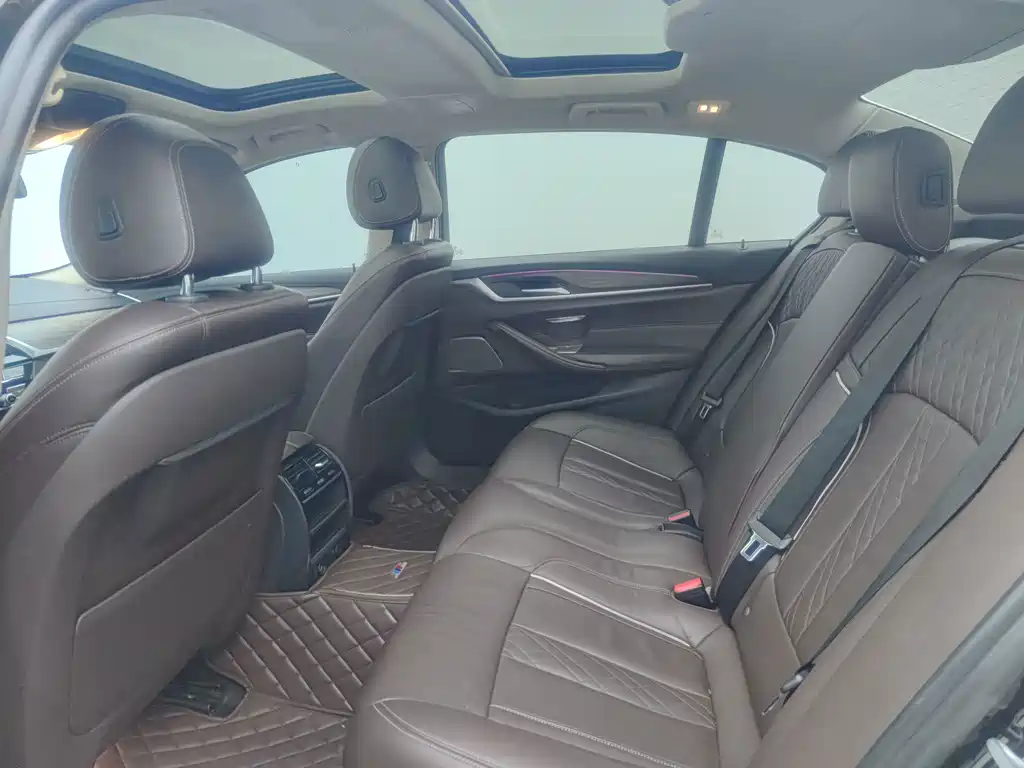 BMW 5 Series 5 2019 530Li Lead Luxury