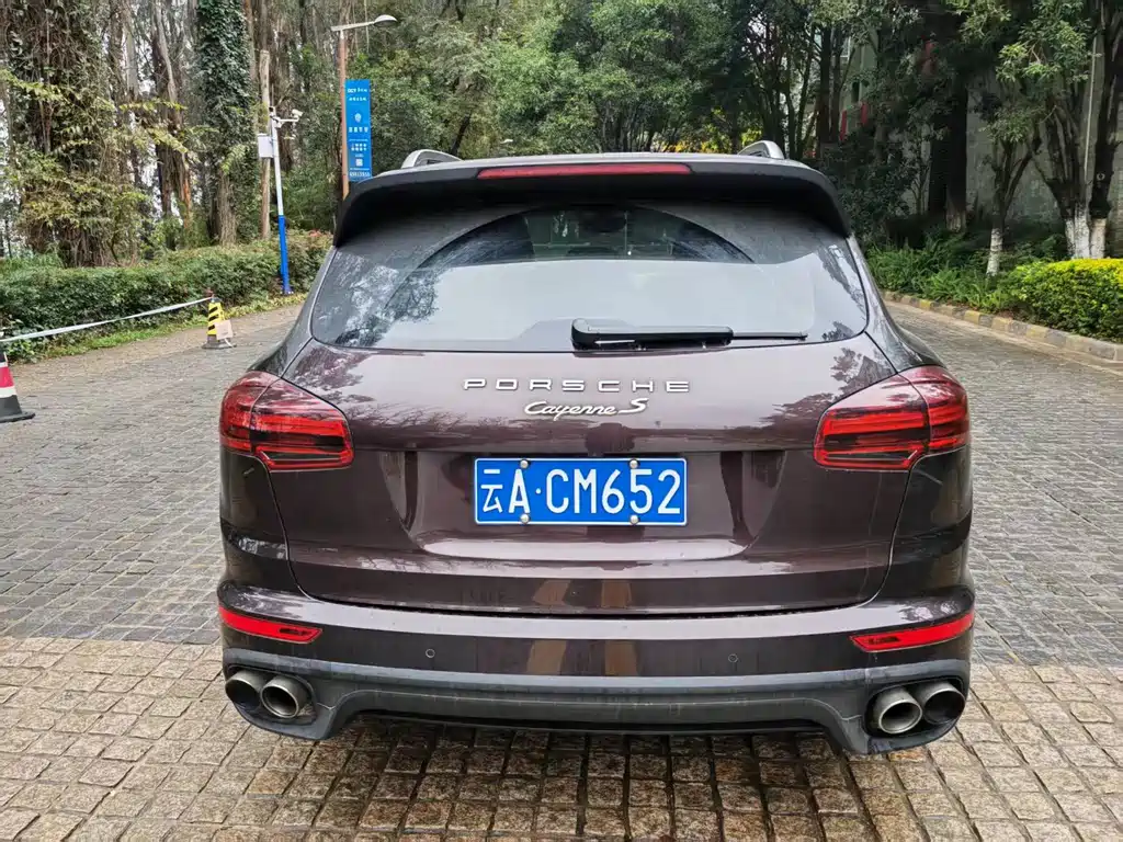 PORSCHE CAYENNE NEW ENERGY