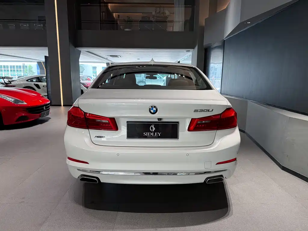 BMW 5 Series 5 2020 530Li xDrive Luxury