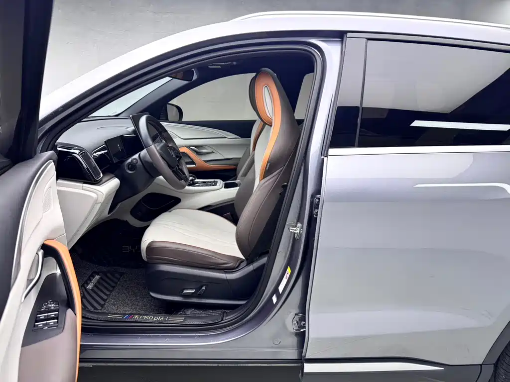 BYD Pro New Energy — миниатюра 12