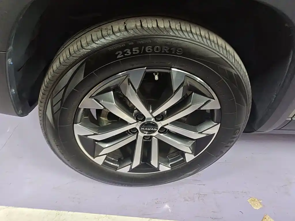 Haval Big Dog — миниатюра 23