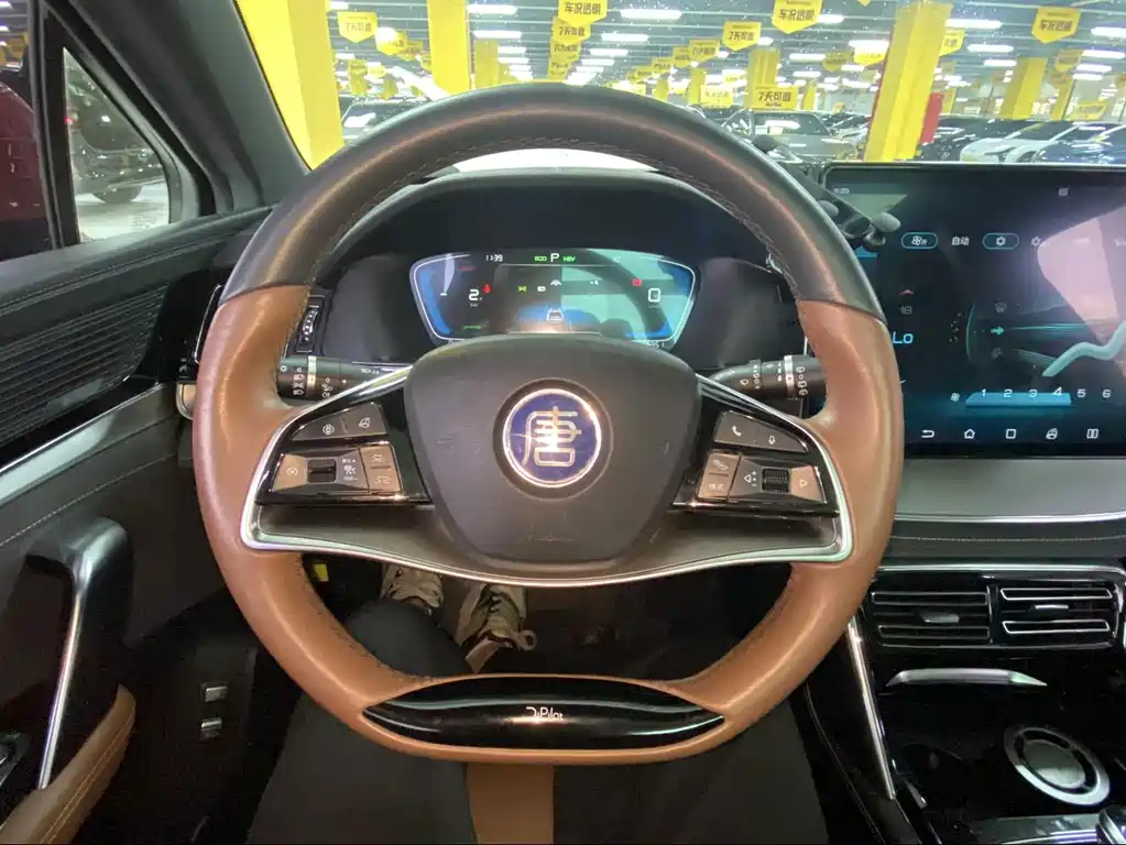 BYD Tang New Energy — миниатюра 8